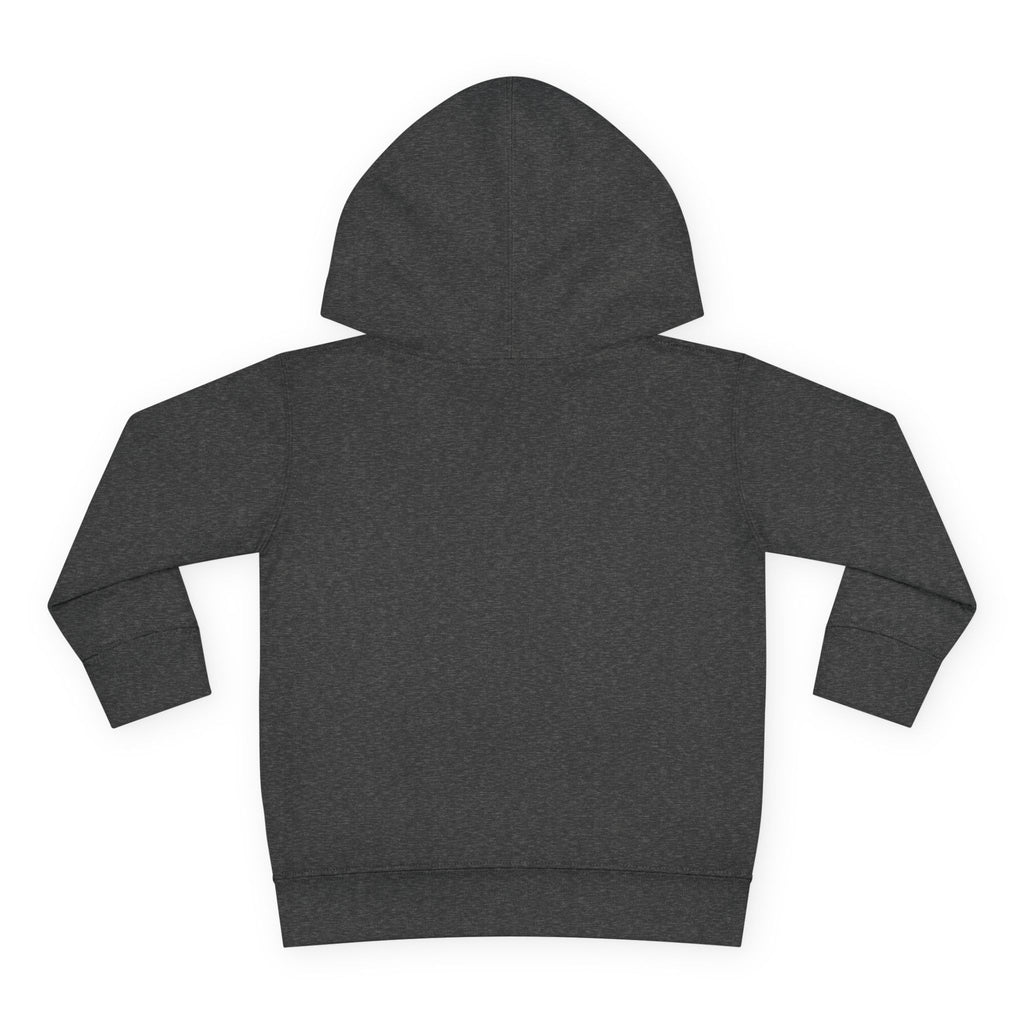 Trick Or T-Rex Toddler Hoodie, Halloween Dinosaur Hoodie, Cute Skeleton T Rex Sweatshirt, Kids Halloween Hoodie, Toddler Fall Outfit