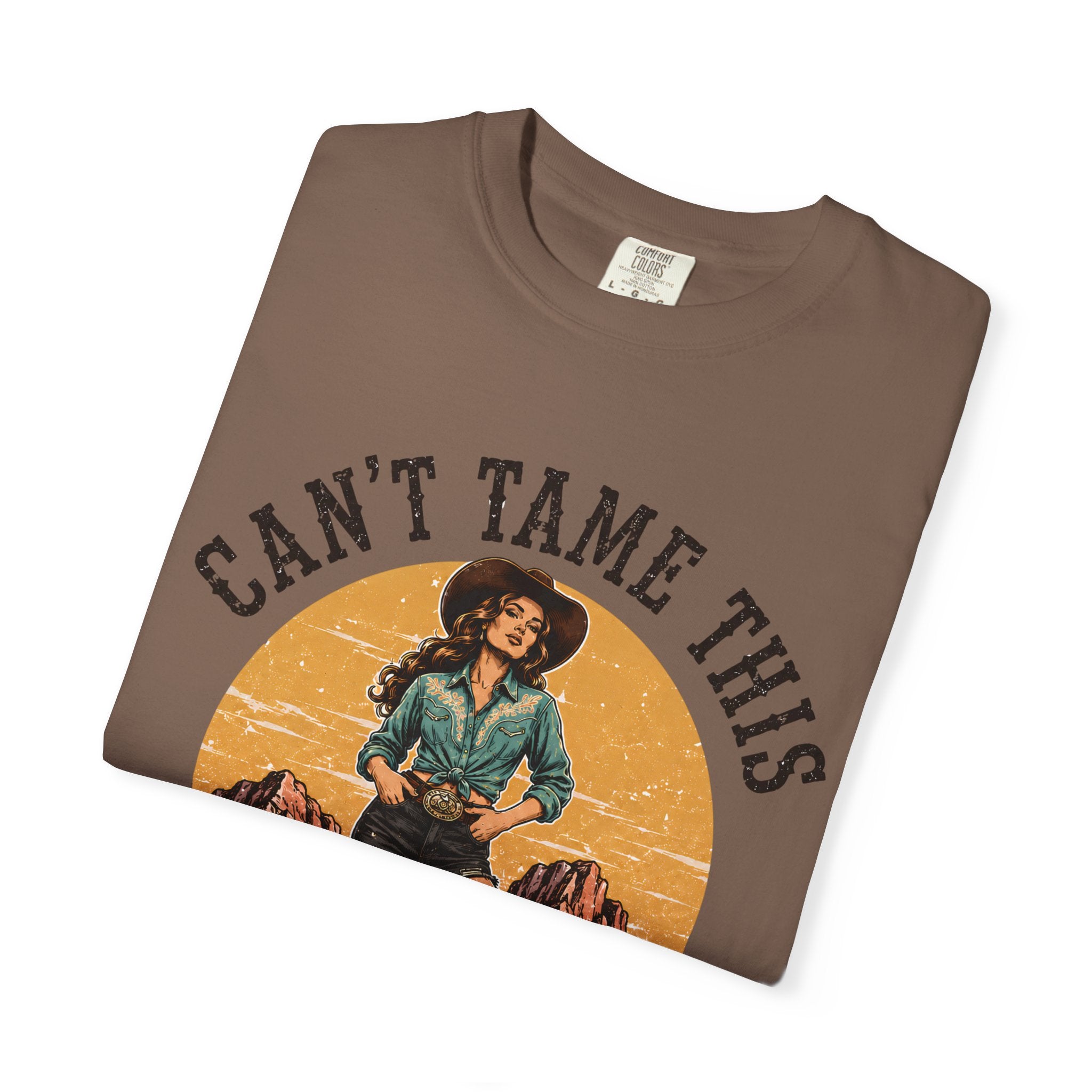 Cant Tame This Shirt, Western Cowgirl Tee, Desert Cowboy Boot Shirt, Retro Western Graphic Tee, Rodeo Cowgirl Shirt, Country Girl TShirt
